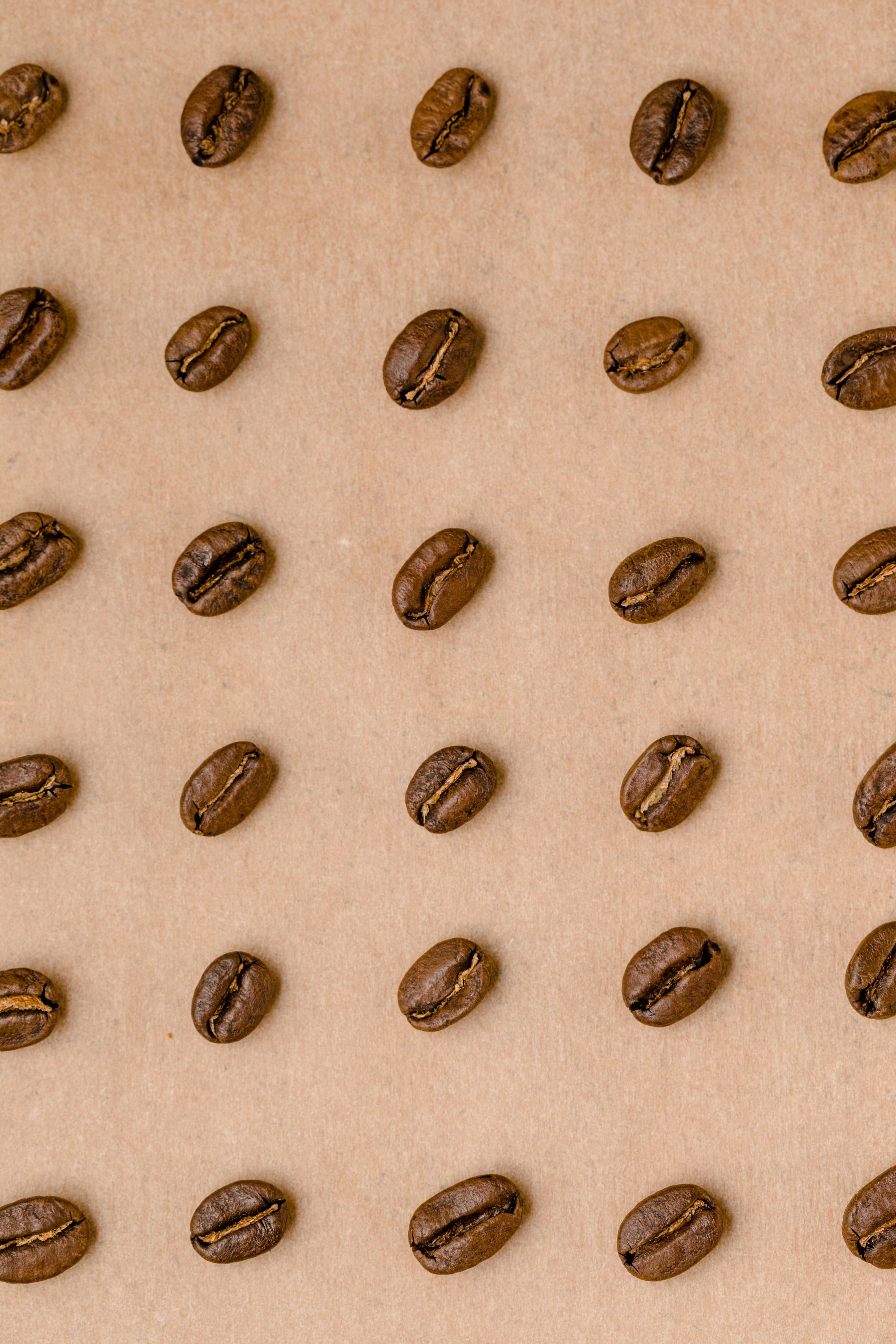 Café en grains torréfaction artisanale origines uniques – Cascara Coffee Co Montréal