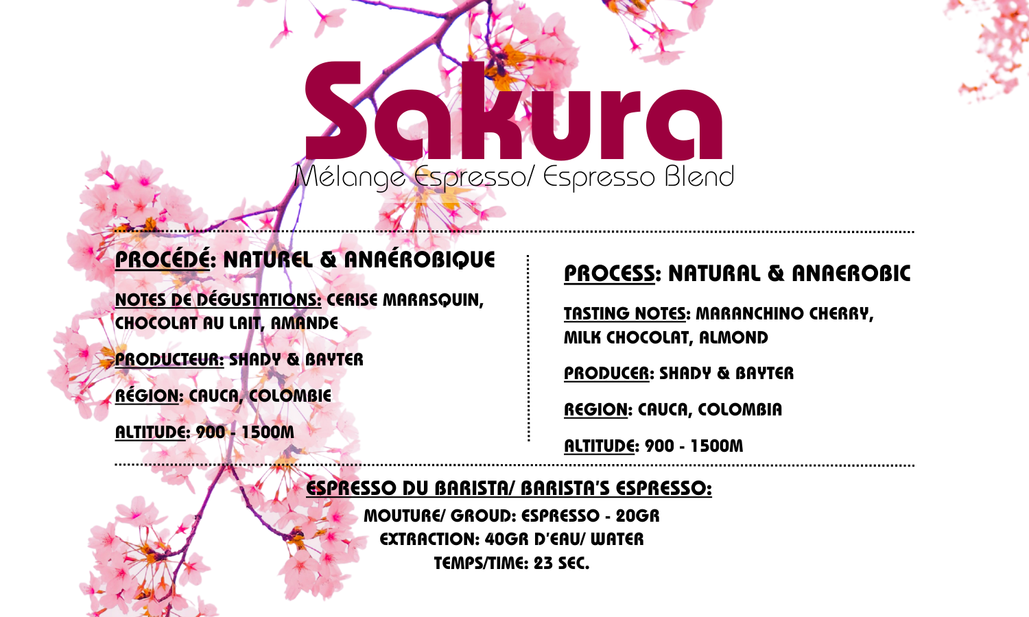 Beans - Sakura