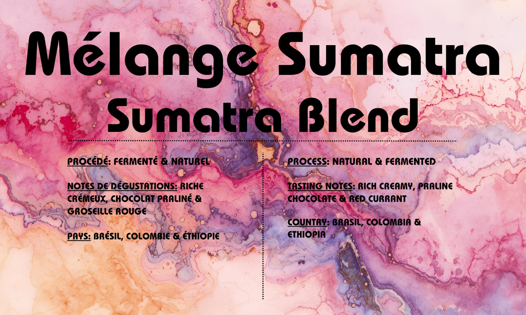 Grains - Mélange Sumatra