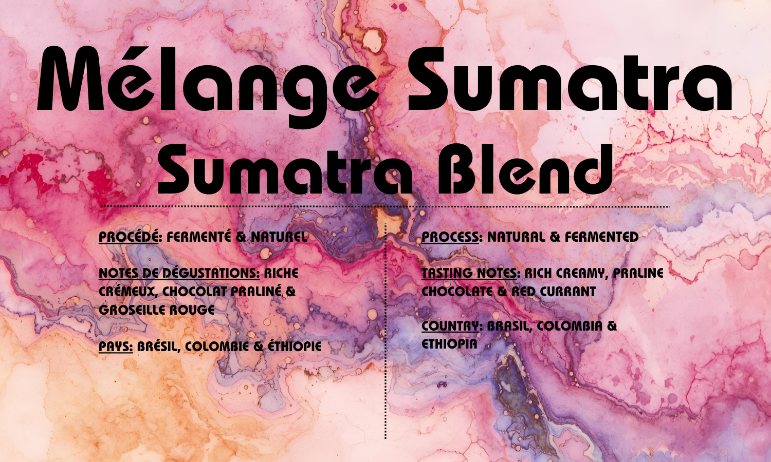 Beans - Sumatra Blend